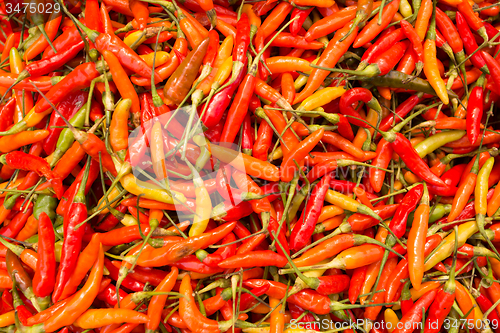 Image of red hot chili peppers texture