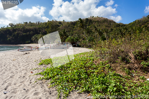 Image of famous Crystal beach at Nusa Penida island