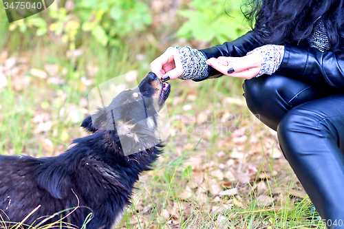 Image of feeding