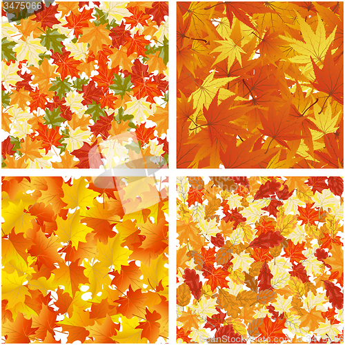 Image of Autumn  Seamless Pattern Set