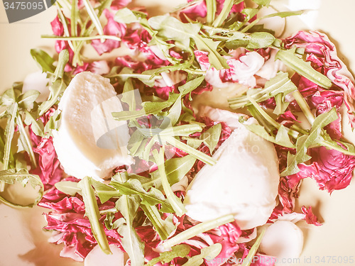 Image of Retro looking Lettuce salad