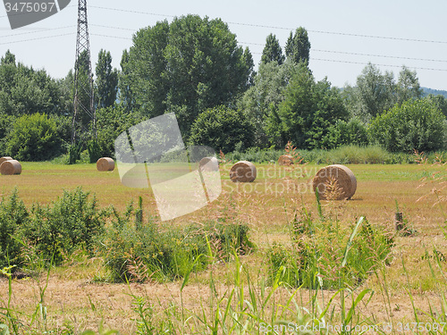 Image of Hay bale