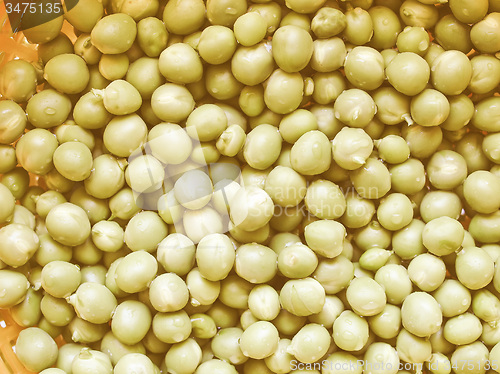 Image of Retro looking Green peas