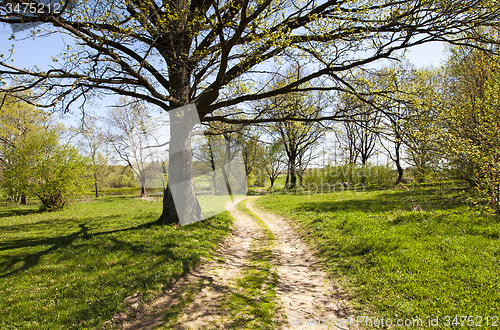 Image of the rural road  