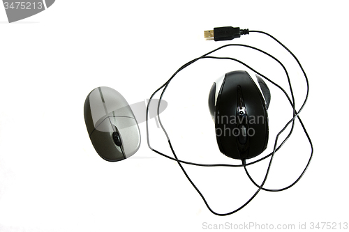 Image of computer mouse 