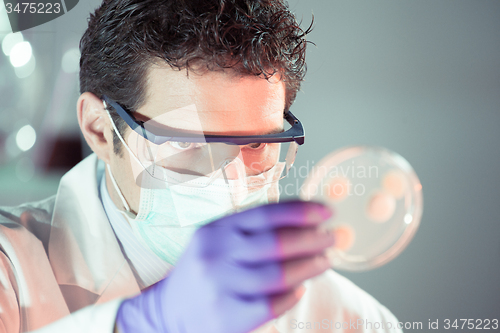 Image of Life science researcher observing cells in petri dish.