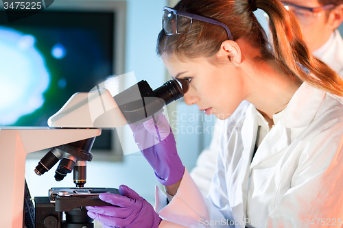 Image of Life scientist researching in the laboratory.