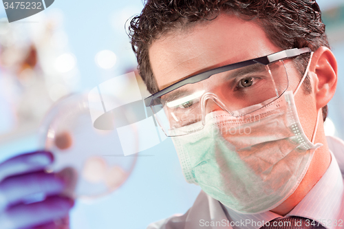 Image of Life science researcher observing cells in petri dish.