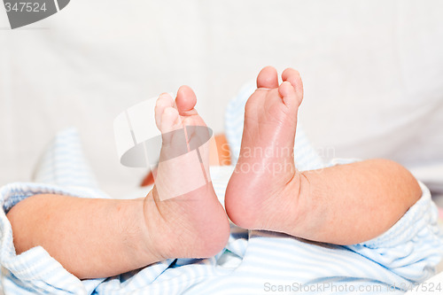 Image of Baby feet