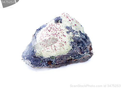 Image of stone from the mountains tundra on a white background