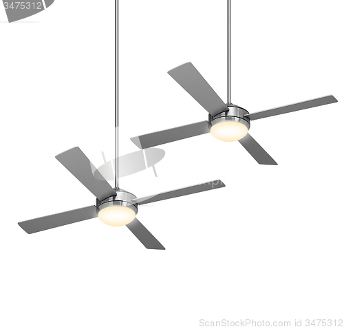 Image of fans isolated