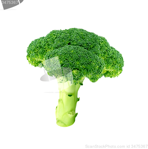 Image of Broccoli