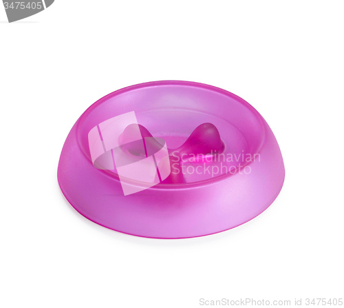Image of pets bowl isolated