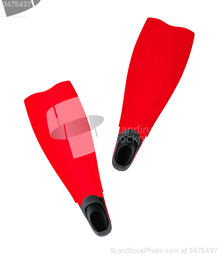 Image of red Flippers