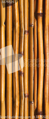 Image of Japanese bamboo background