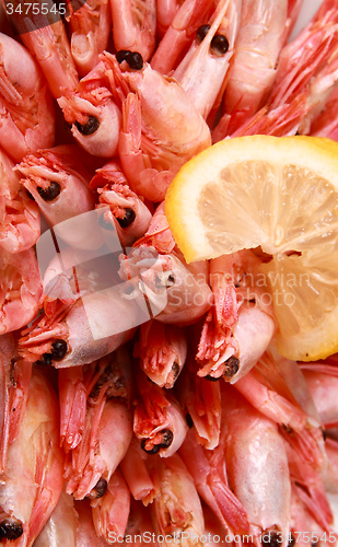 Image of shrimp with lemon