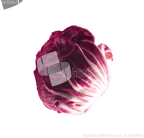 Image of fresh red cabbage