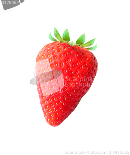 Image of Strawberry isolated