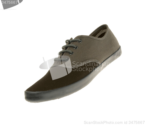 Image of gray sneaker isolated