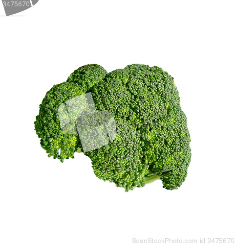 Image of Broccoli isolated