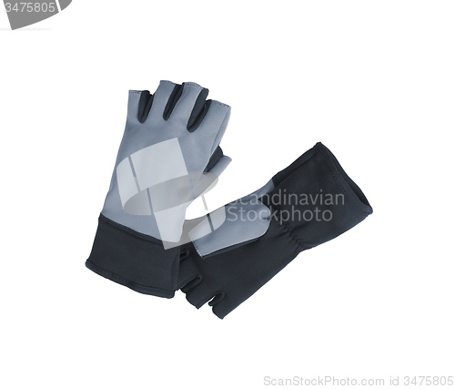 Image of Gloves for gym