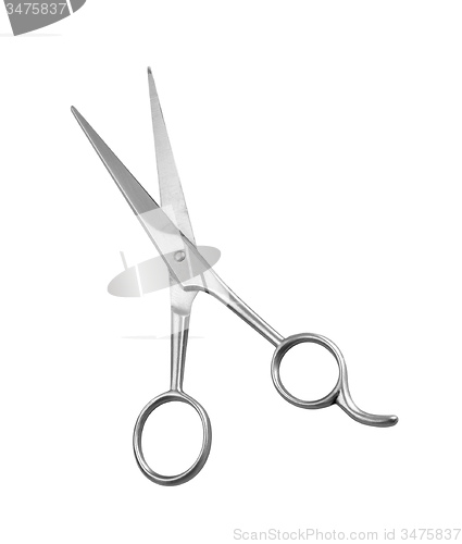 Image of Professional Haircutting Scissors