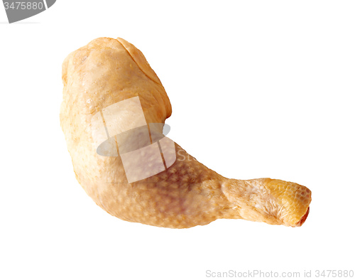 Image of chiken leg