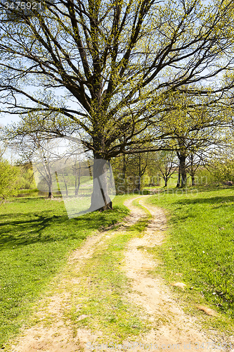 Image of the road 