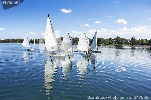 Image of Sailing on the lake