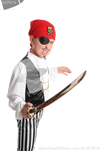 Image of Swashbuckling Pirate