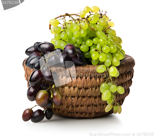 Image of Grapes in basket