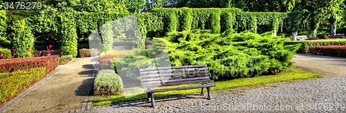 Image of Pergola in the garden