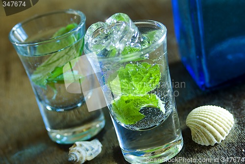 Image of Mojito