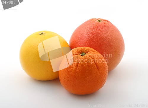 Image of citric fruits