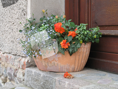 Image of Flower pot