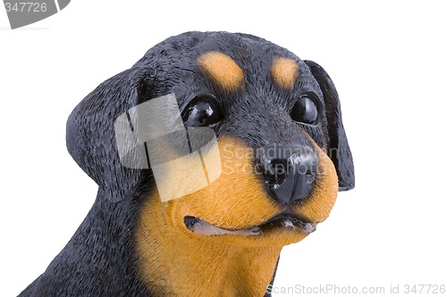 Image of Toy Doggie Head