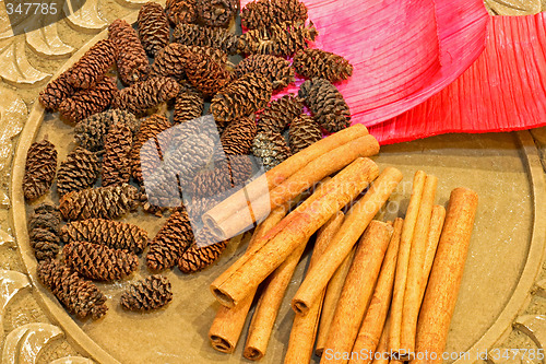 Image of Cinnamon and pinecone