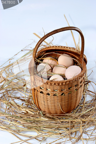 Image of eggs on a bed of straw