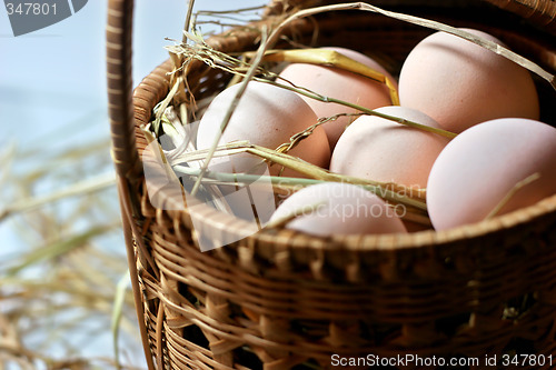 Image of eggs