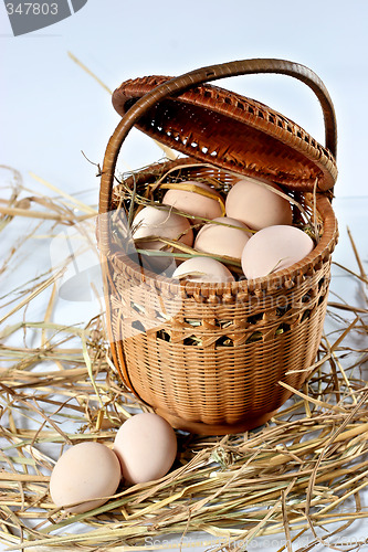 Image of eggs on a bed of straw