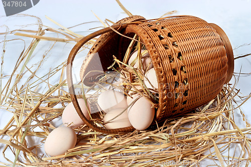 Image of eggs on a bed of straw