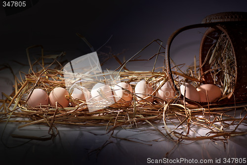 Image of eggs on a bed of straw