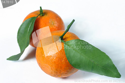 Image of couple mandarin