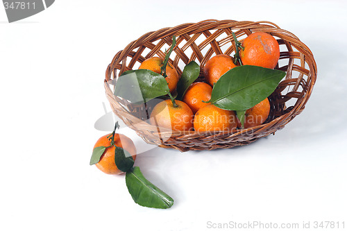 Image of mandarin on basket