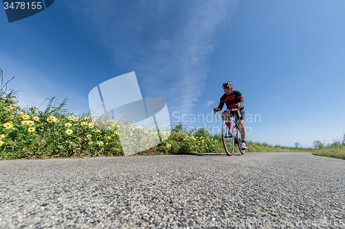 Image of Cyclist