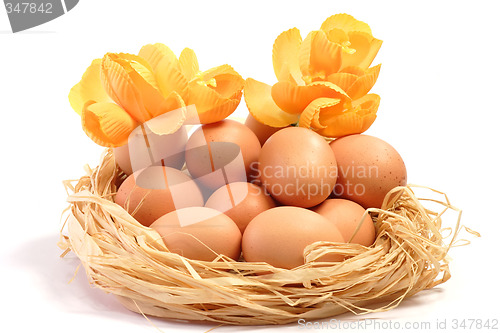 Image of Easter Nest