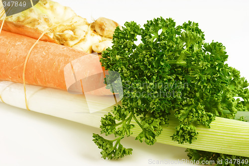 Image of  Fresh Vegetables