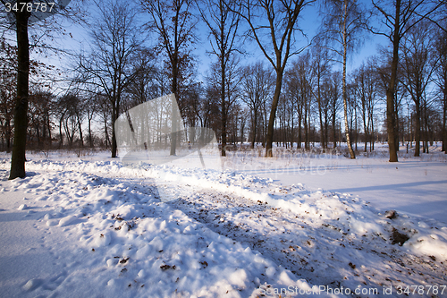 Image of the winter road  