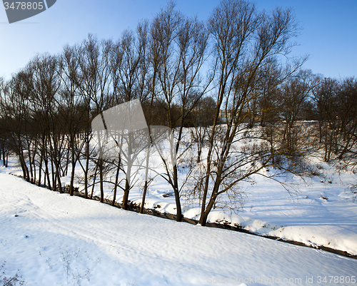 Image of winter forest  