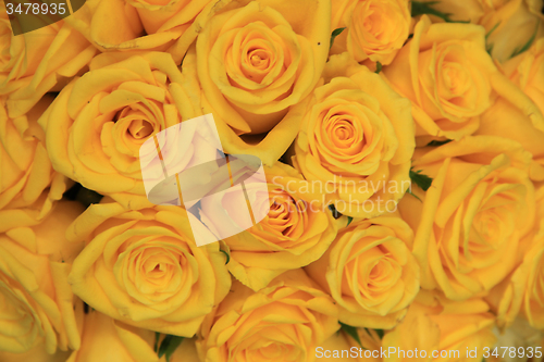 Image of Yellow wedding roses